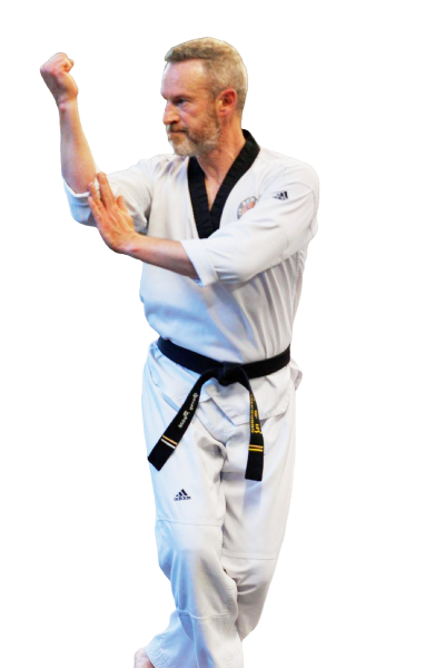 taekwondo man
